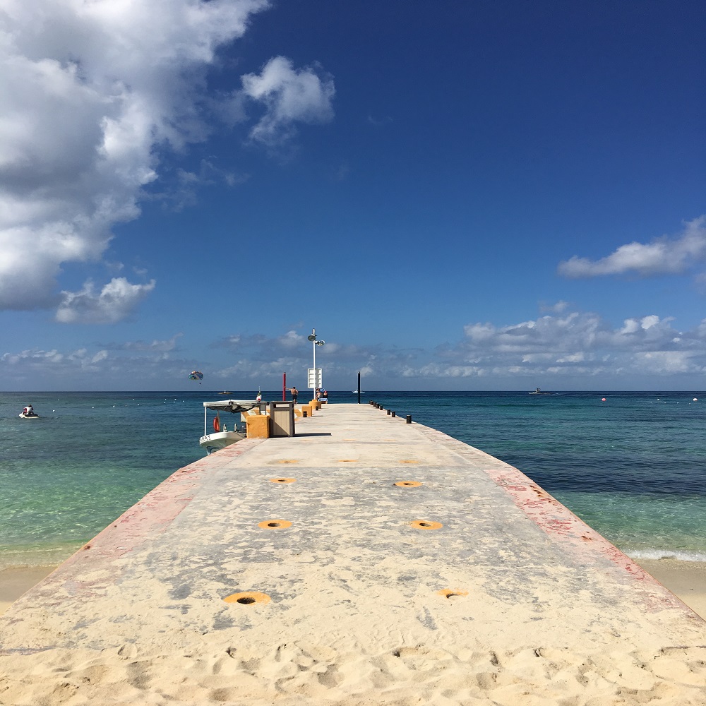 駐在生活 浄水 軟水化シャワーヘッドは海外生活必携 おカネとホンとタビのはなし
