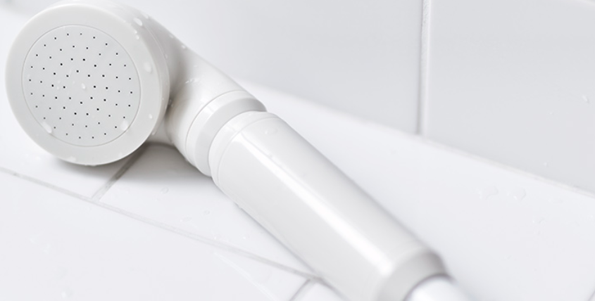 駐在生活 浄水 軟水化シャワーヘッドは海外生活必携 おカネとホンとタビのはなし